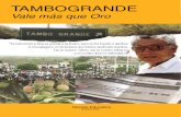 Consulta Tambo Grande Minería Perú