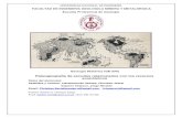Informe N04 de Geología Histórica - Ciquero Chipoco, Jorge - Llactahuaman Quispe, Christian -Paleogeografía de Escudos