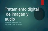 Tratamiento Digital de Imagen y Audio