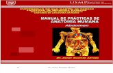01 05 14 Manual de Practica de Anatomia - Abdomen