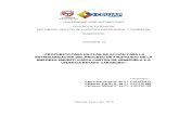 plan de accion para la estandarizacion del paletizado de las empresas smurfit kappa carton de venezuela