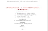 Monografia Contraccion de Redes y Pert Cost