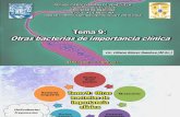 TEMA 9 Continuación Helicobacter Treponema Mycoplasma y Chlamydia