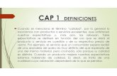 Cap 1 Definiciones Ind226