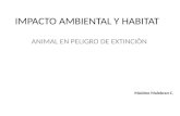 Impacto Ambiental y Habitat Maximo
