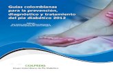 Guias Colombianas de Pie Diabetico 2012 (1)