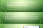 Reducción de Nitrato y Proceso de Desnitrificación