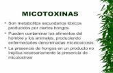 Infecciones Por Micotoxinas -Mollerosina