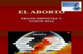 11. aborto