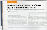 Regulación de Hidroeléctricas
