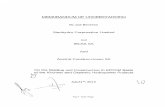 Memorandum completo Synohydro, IECSA y Austral