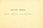 Hidalgo 1870 - Moluscos Marinos de España Portugal y Baleares