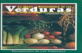 La Gran Enciclopedia de Las Verduras