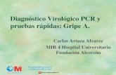 PCR-GRIPE A