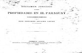 Dictamen Jurídico sobre las Propiedades en el Paraguay pertenecientes a Don Enrique Solano López y otros, Buenos Aires año 1887