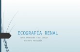 Ecografía Renal