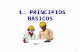 1 Princpios Basicos