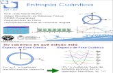 20-Entropia Cuantica