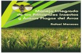 LIBRO Manejo Integrado de Los Principales Insectos y Acaros Plagas Del Arroz