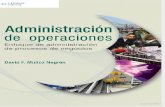Administracion de Operaciones - David Muñoz Negron
