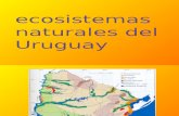 Sistemas Ecológicos Del Uruguay