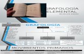 Grafología elemental. Resumen.pptx