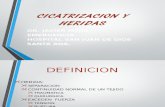 11. CICATRIZACION Y HERIDAS.ppt.reload.pptx
