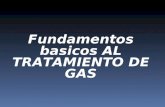 Fundamentos Basicos de Procesos de Endulzamiento Del Gas Natural
