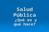 2. Salud Publica