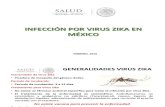 Zika Resumen