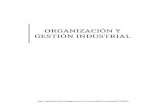 Organización y gestión industrial 001.docx