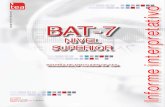 Informe Profesional BAT7