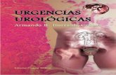 [Armando Iturralde Codina] Urgencias Urologicas