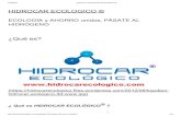 ¿Qué es_ _ HIDROCAR ECOLOGICO ®