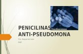 PENICILINAS Pseudomonas
