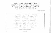 Deformacion Craneana (1).pdf