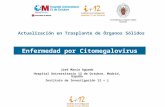 CMV trasplante renal