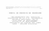 PERFIL DE PROYECTO DE INVERSIÓN.docx