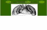 Inst. Quirúrgica - 1º Año - Anatomía - Unidad Nº11 - Aparato Respirtorio