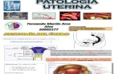Patología Uterina PDF