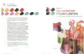 I CADENAS MUSCULARES Busquet.pdf