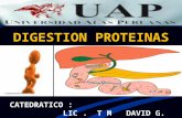 Clase 10 Digestion Proteinas