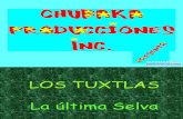 Los Tuxtlas 10811