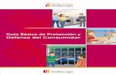 Guía de Protección Al Consumidor(pdf)