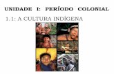 1.1 Cultura Indígena