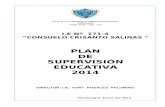 Plan de Supervisión Educativa i.e 171-4 2014