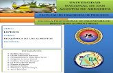 DEFINICION Y CLASEFICACION DE LOS LIPIDOS.pdf