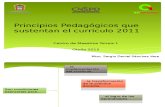 4.3 Principios Pedagógicos.pptx