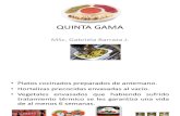 Quinta Gama