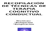 técnicas de la terapia cognitivo coductual
